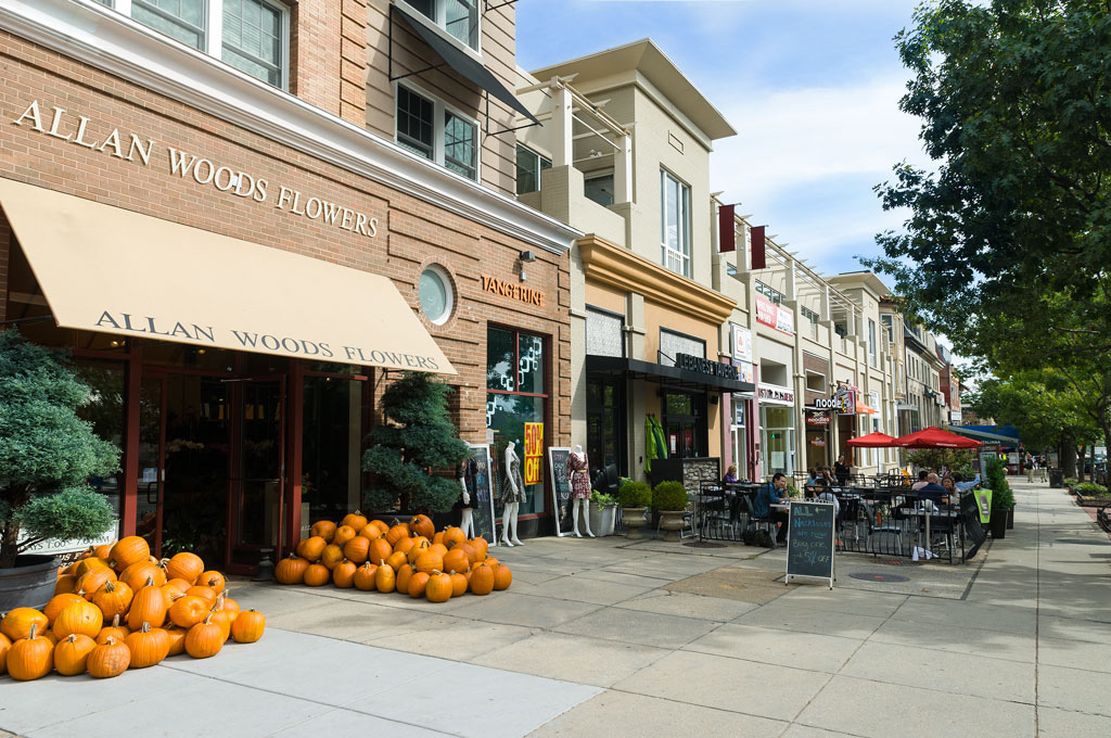 Woodley Park